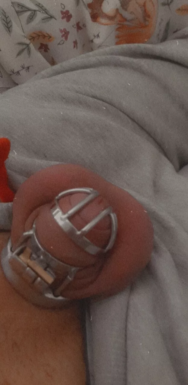 Locked and horny posted by Imean_yes