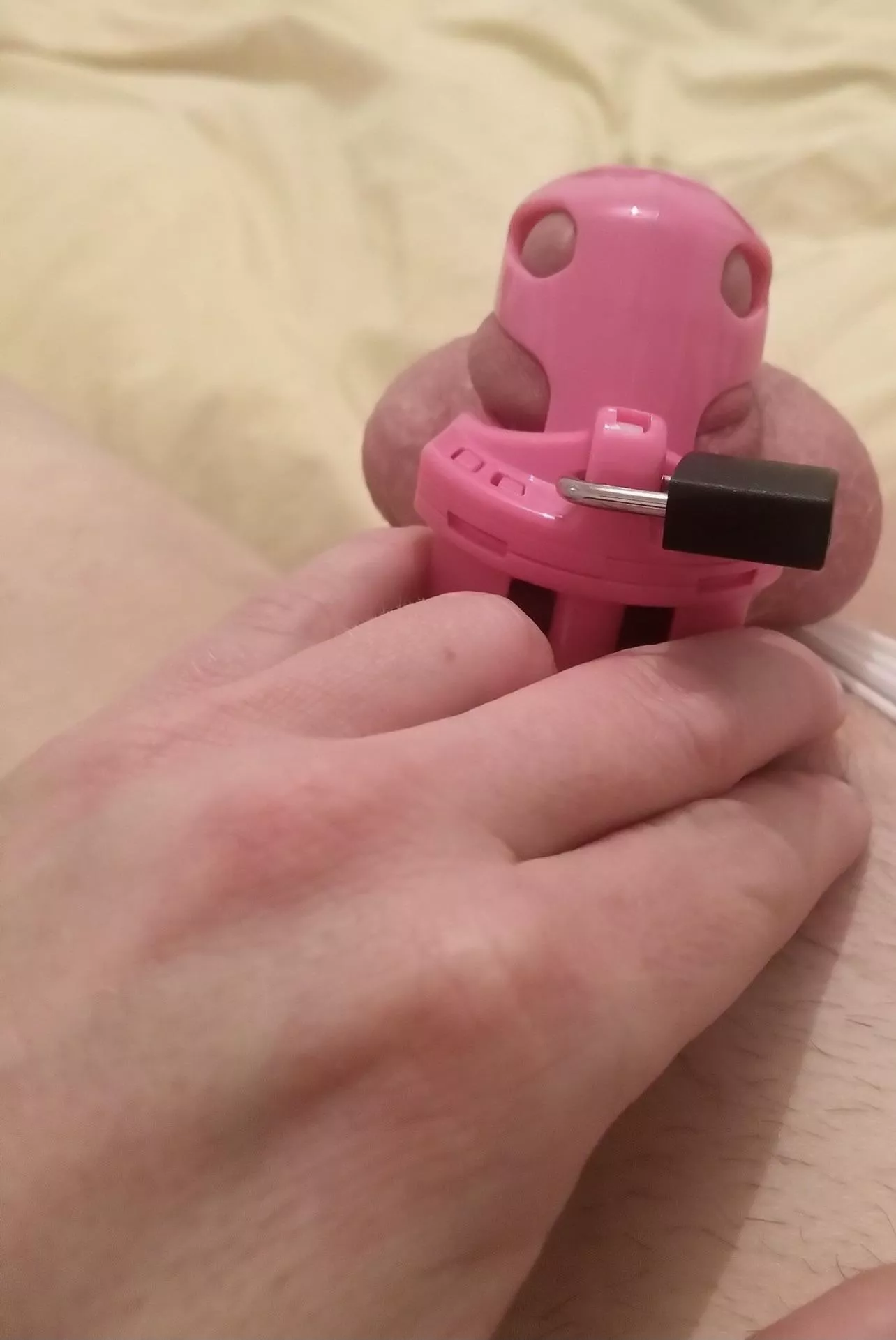 Locked and straining- listening to her moan with her bull posted by CplLove