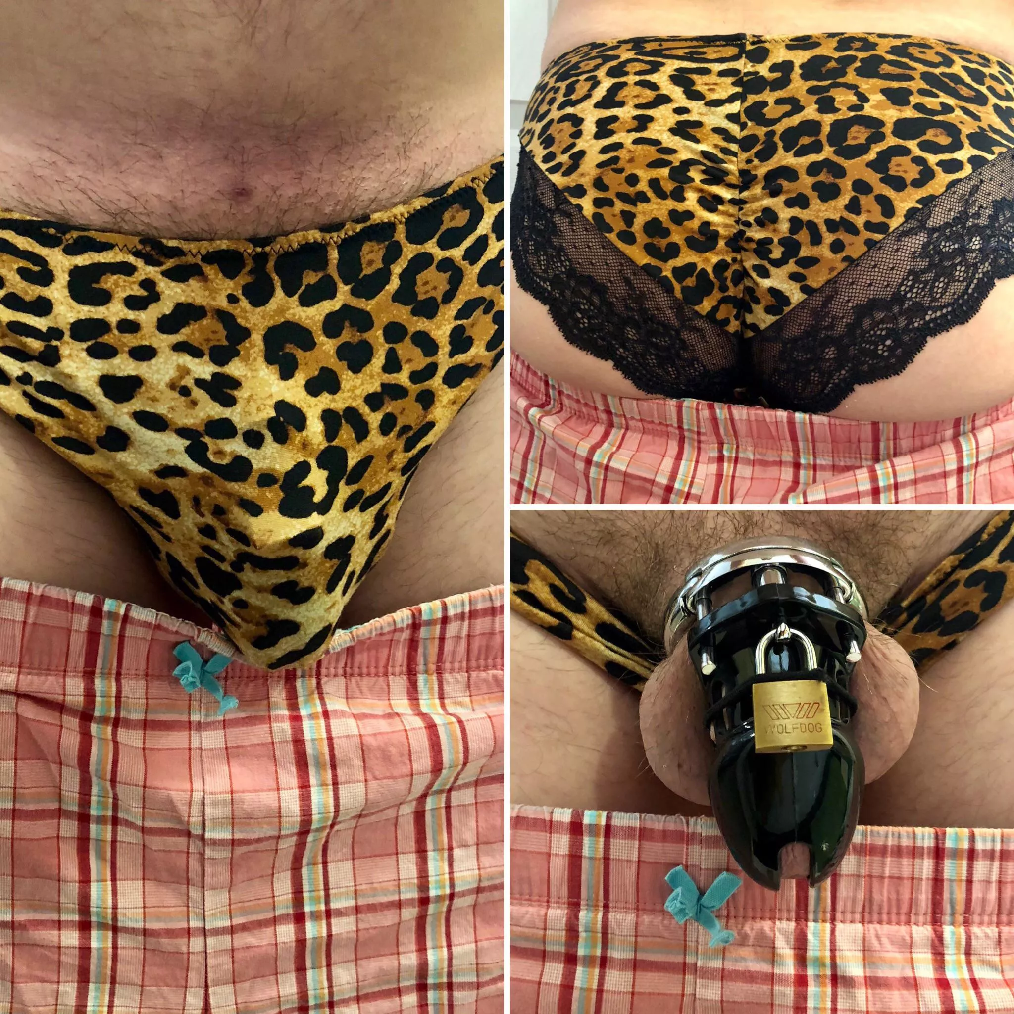 Locked and wearing my wife’s clothes…can’t imagine it any other way posted by brad133688