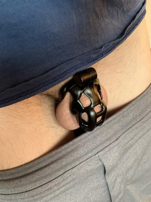 Locked back up after some fun time by burlboy13