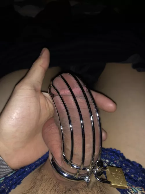 locked 🔒 by joshl0310