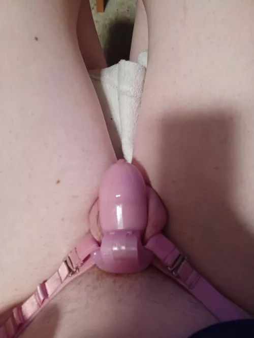 locked up on a no touch for the night. would love to be sent porn to keep me frustrated 💜 by dayshadow1985