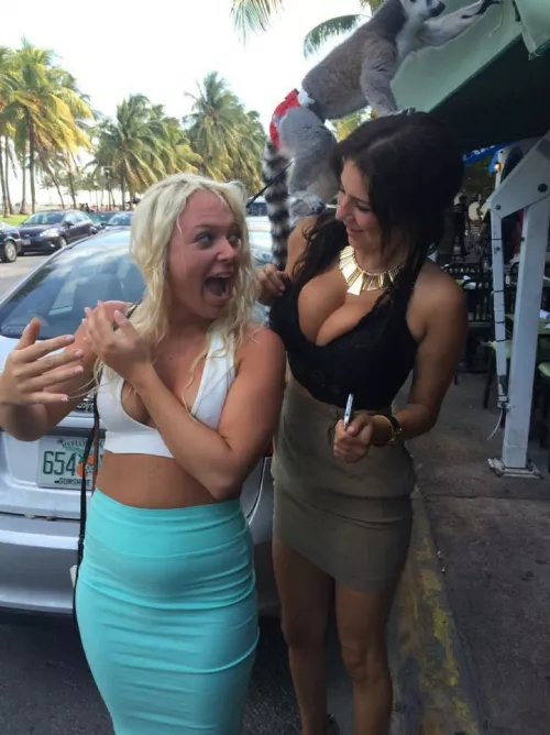 Lol by THROAT_NOT_HEAD