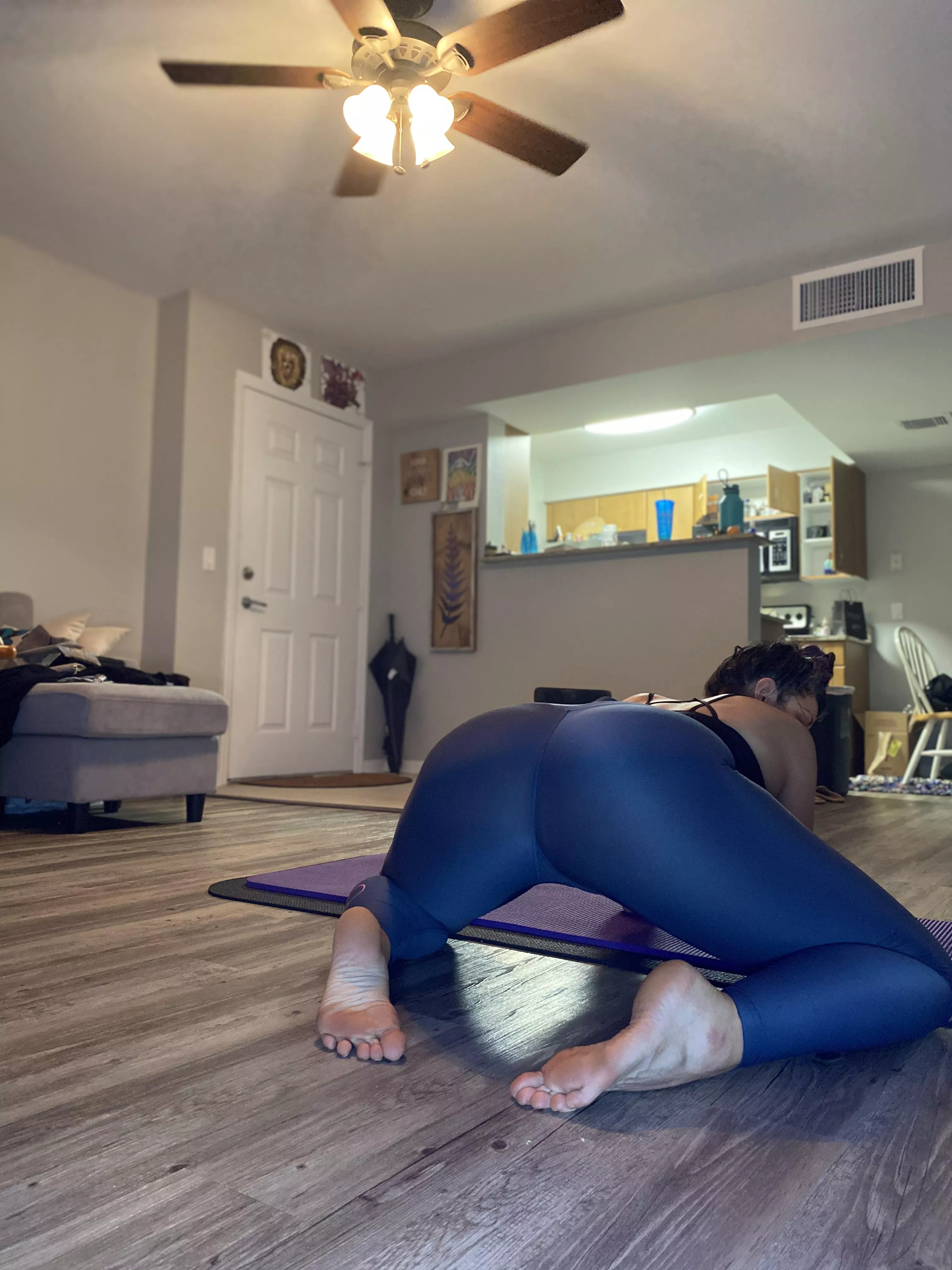 Lol why am I not on the mat posted by fierypawgzilla