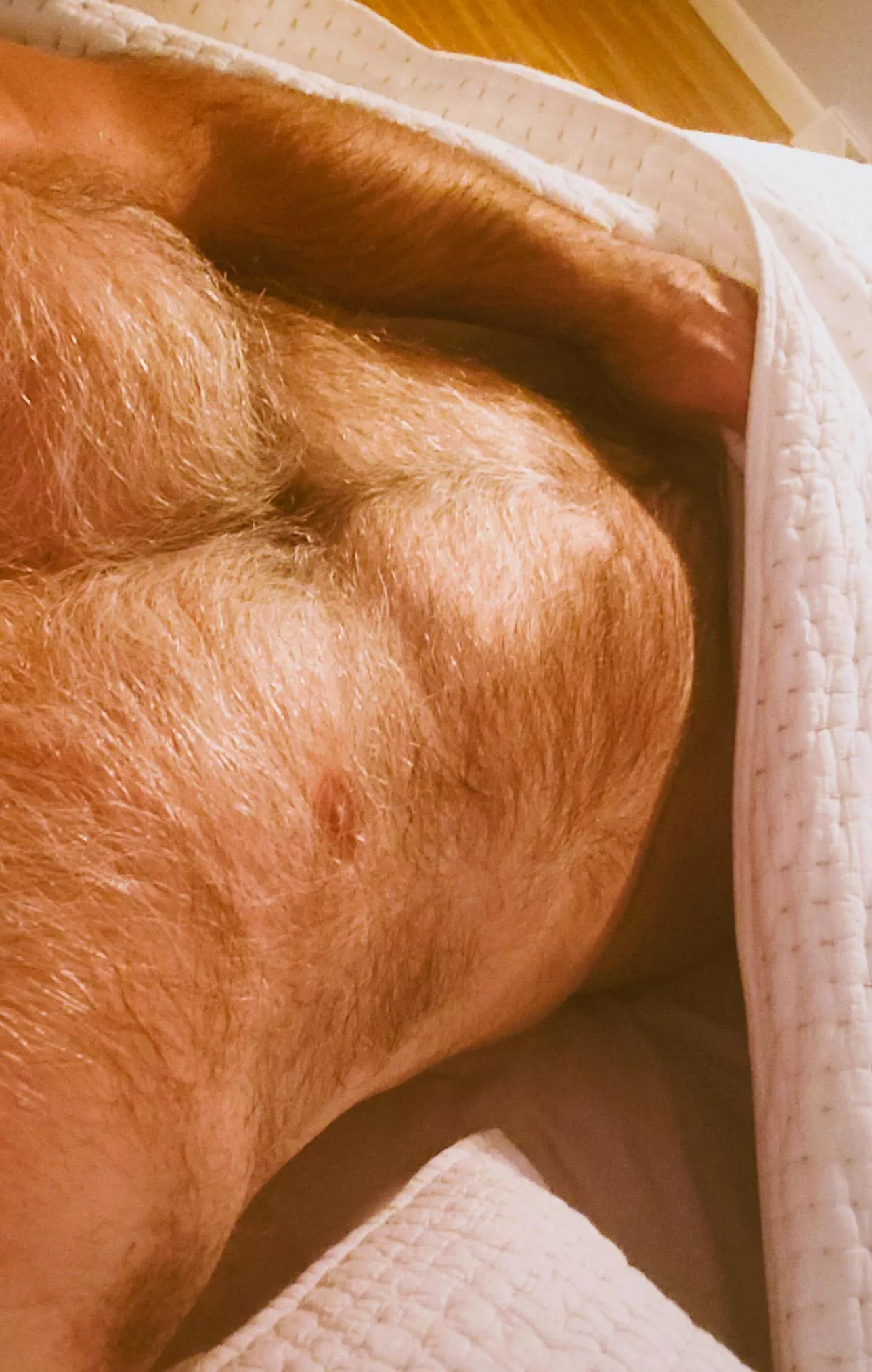 Long weekends are built for staying in bed. So, let's. 😘 posted by WarmRefrigerator2