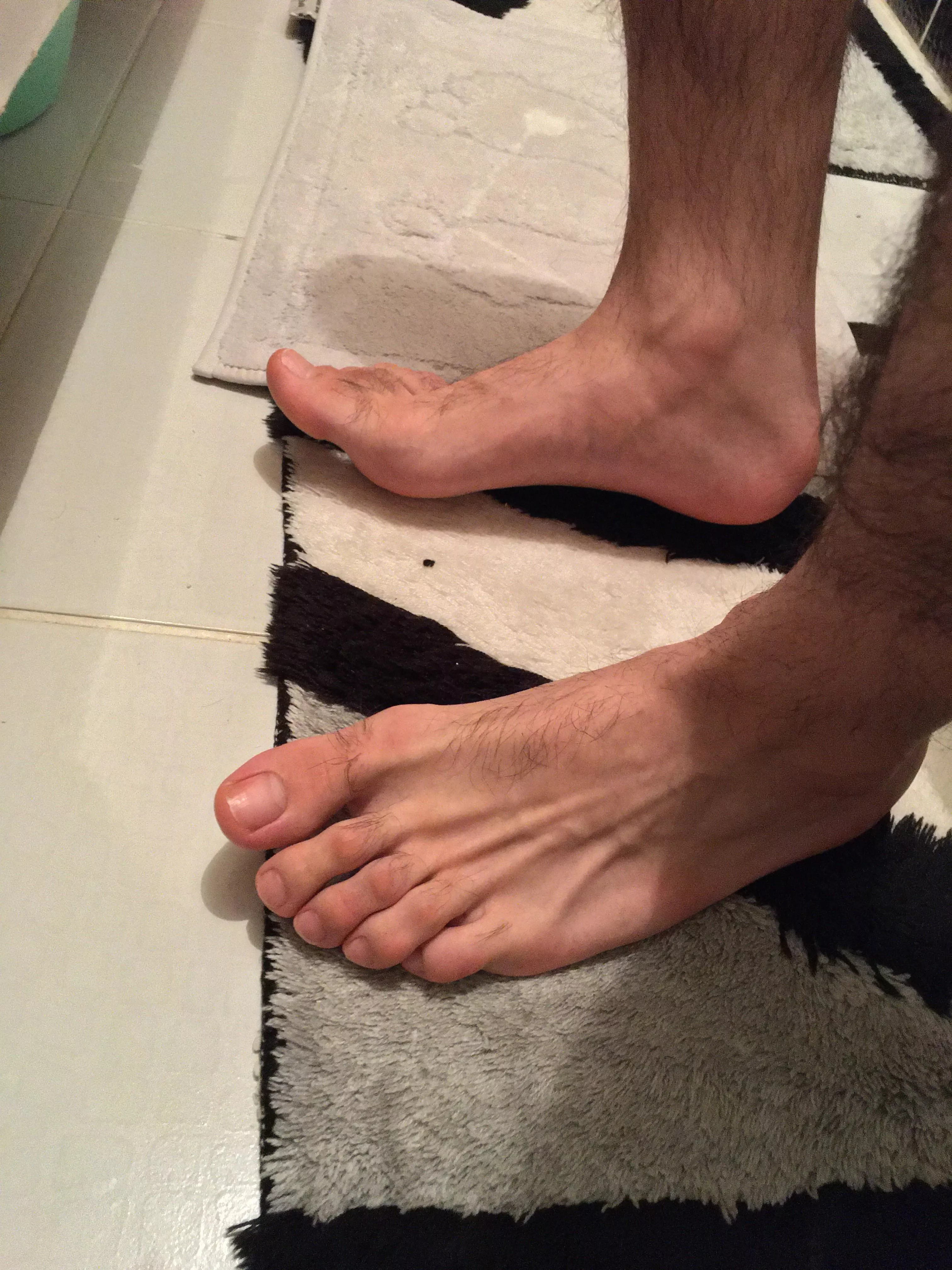 Look at how fucking perfect my feet are :) posted by cagatayrb