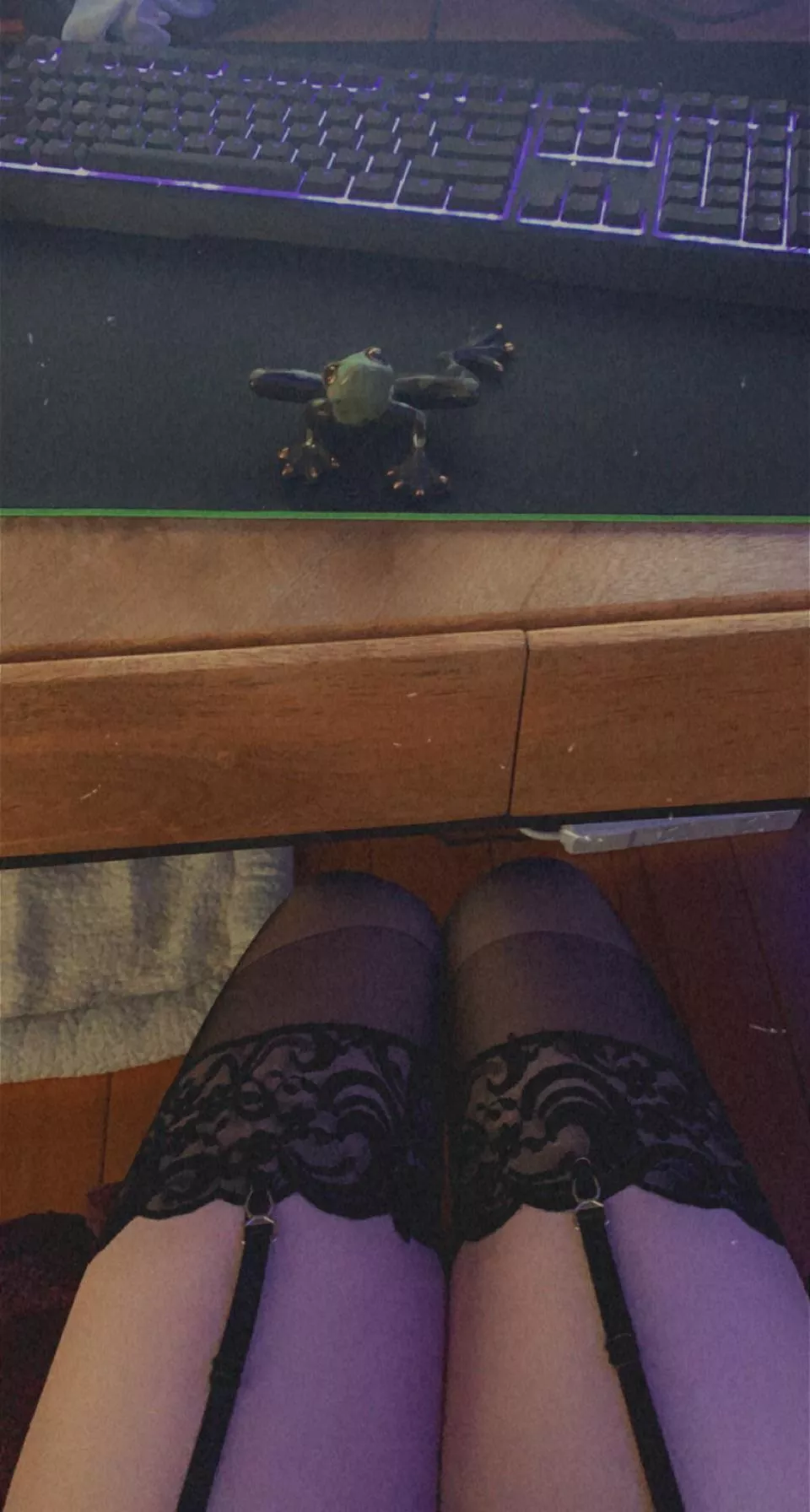 Look at this frog!!!!!!! posted by brotherhuh_ieetuchch