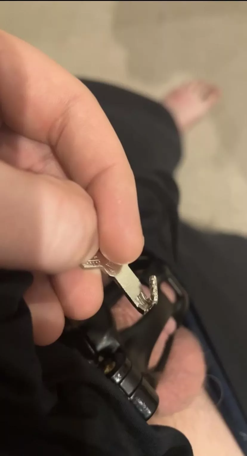 look at this sissy right here! she broke her key to lock herself in permanent chastity so she can become a girly girl! what a good girl she is. posted by No_Escape868