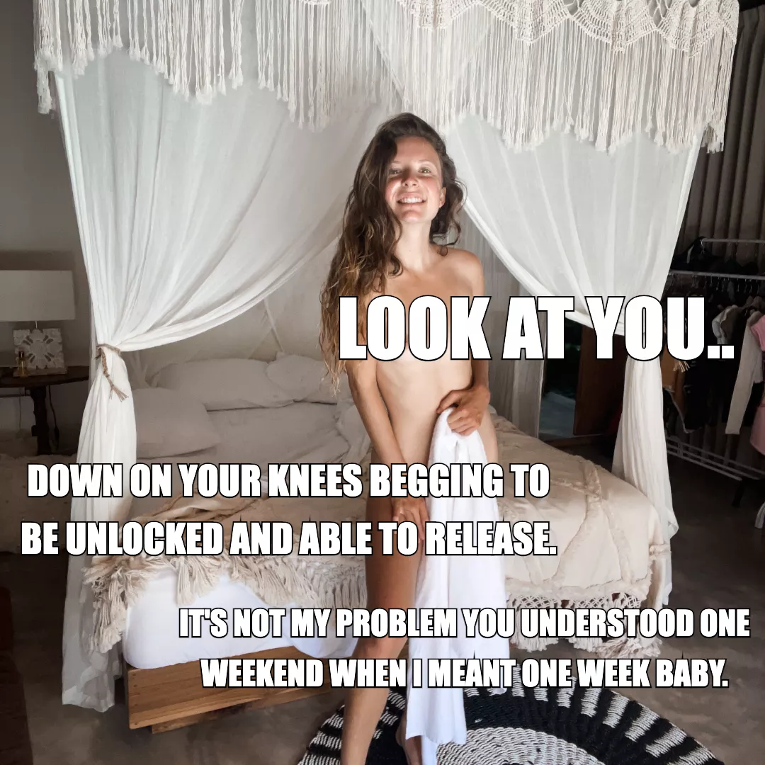 Look at you 🤭 posted by lulusdreamz