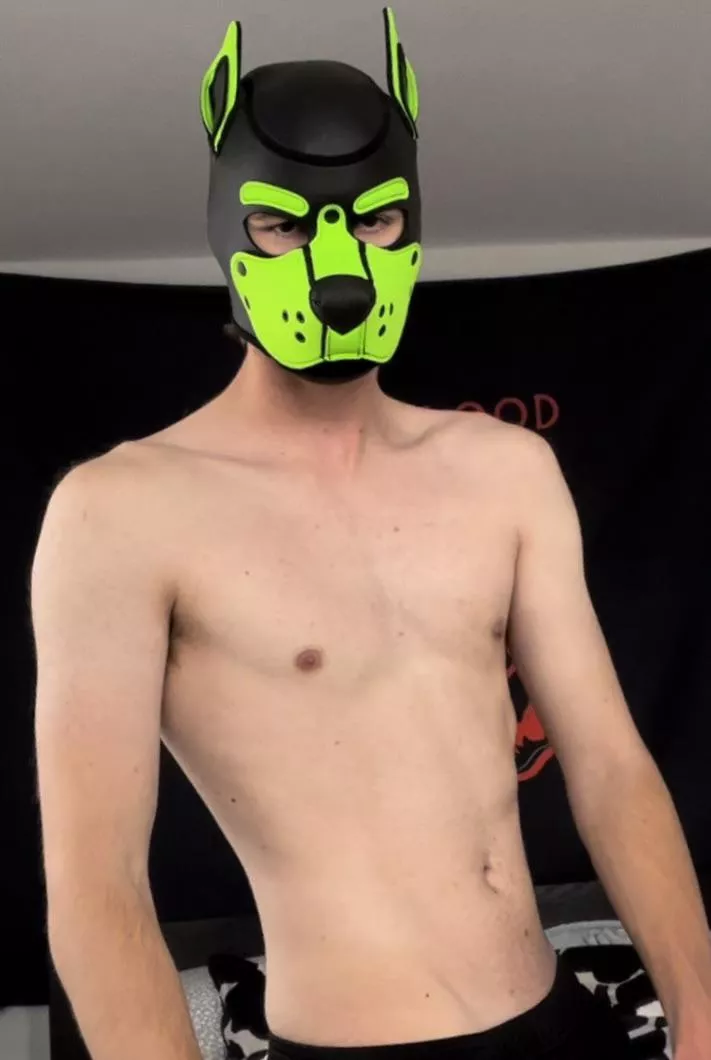 Lookin a little angry but I’m very happy with my new hood :) posted by quills22