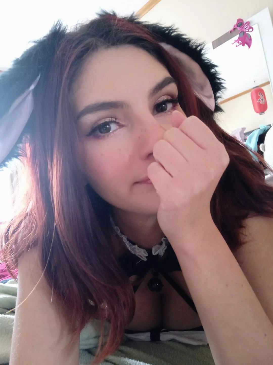 looking for a companion to breed baby bunnies posted by kawaiibunny666