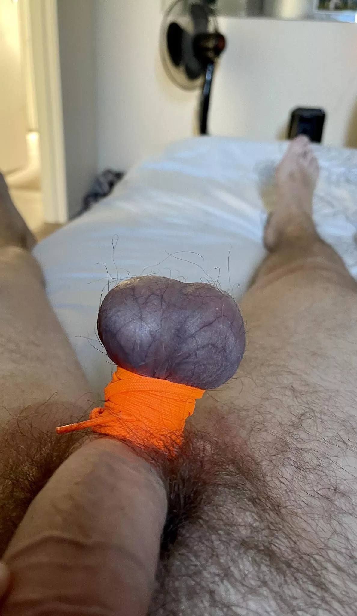 Looking for a man who want to bust my balls posted by idlemind69