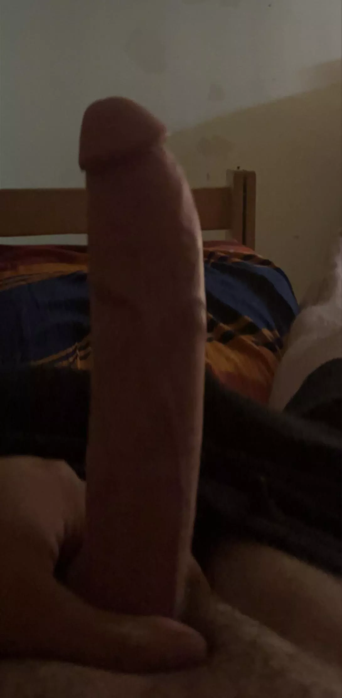 Looking for my straight friends curious about huge cock posted by HellbentWarden