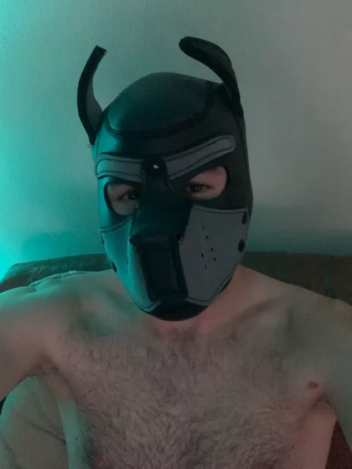 looking for pups to pup out with by SnooCupcakes4756