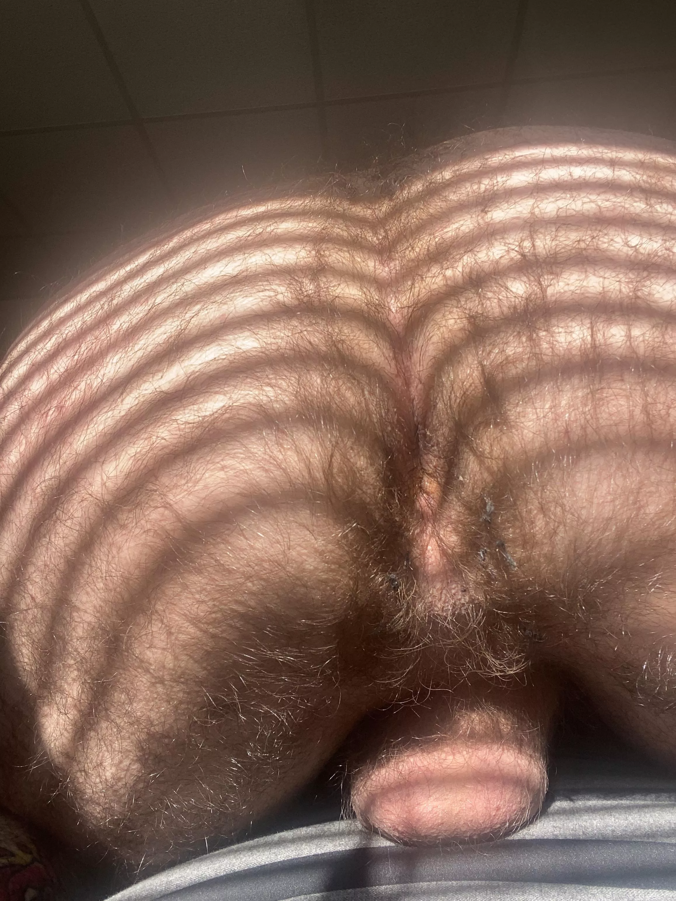 Looking for some younger guys to clap these cheeks posted by biguyusesathrowaway