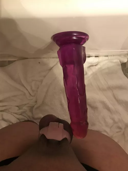 Looks like I know who the alpha is by Betabitch9