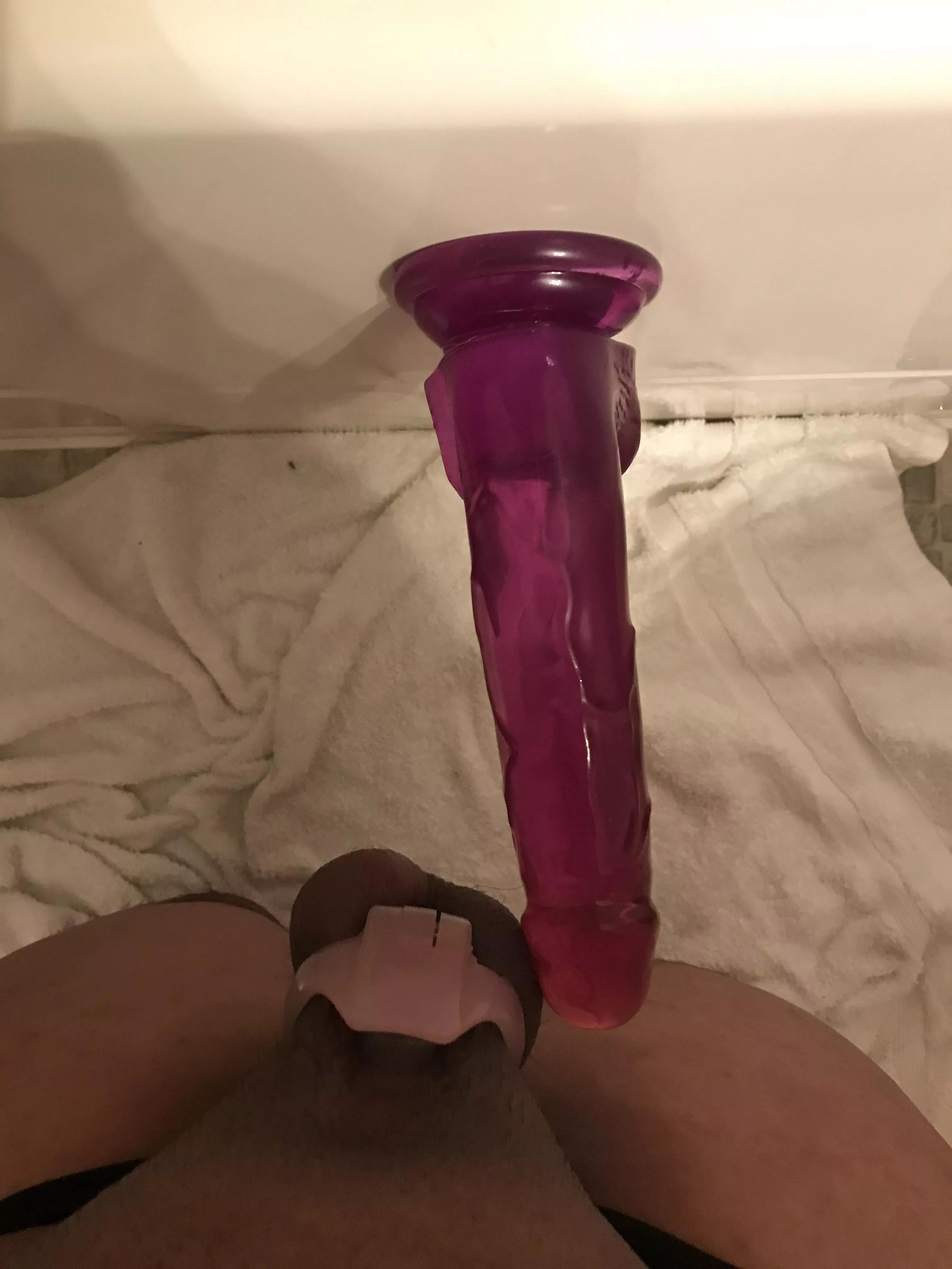 Looks like I know who the alpha is posted by Betabitch9