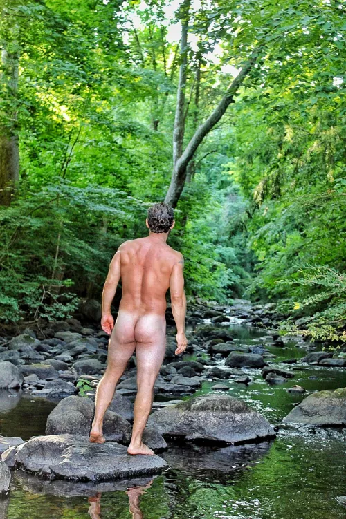 Lost in the woods...(41) by SonnySicily81