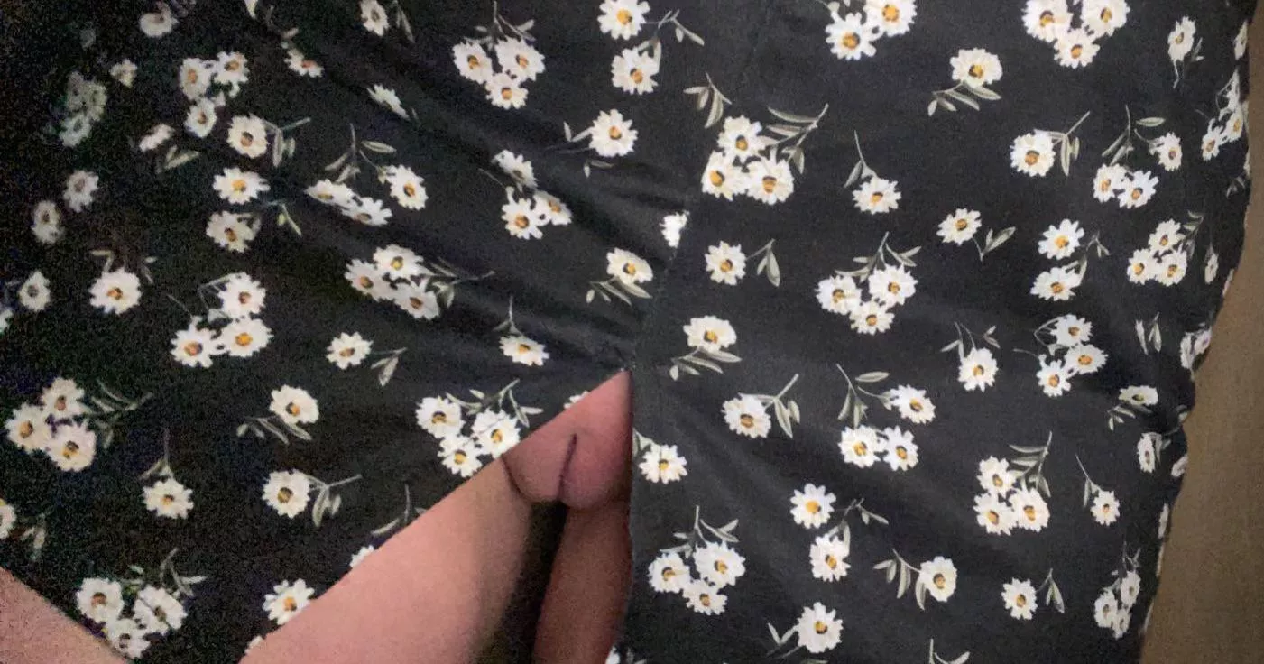 lost my panties… posted by sassytwirlin