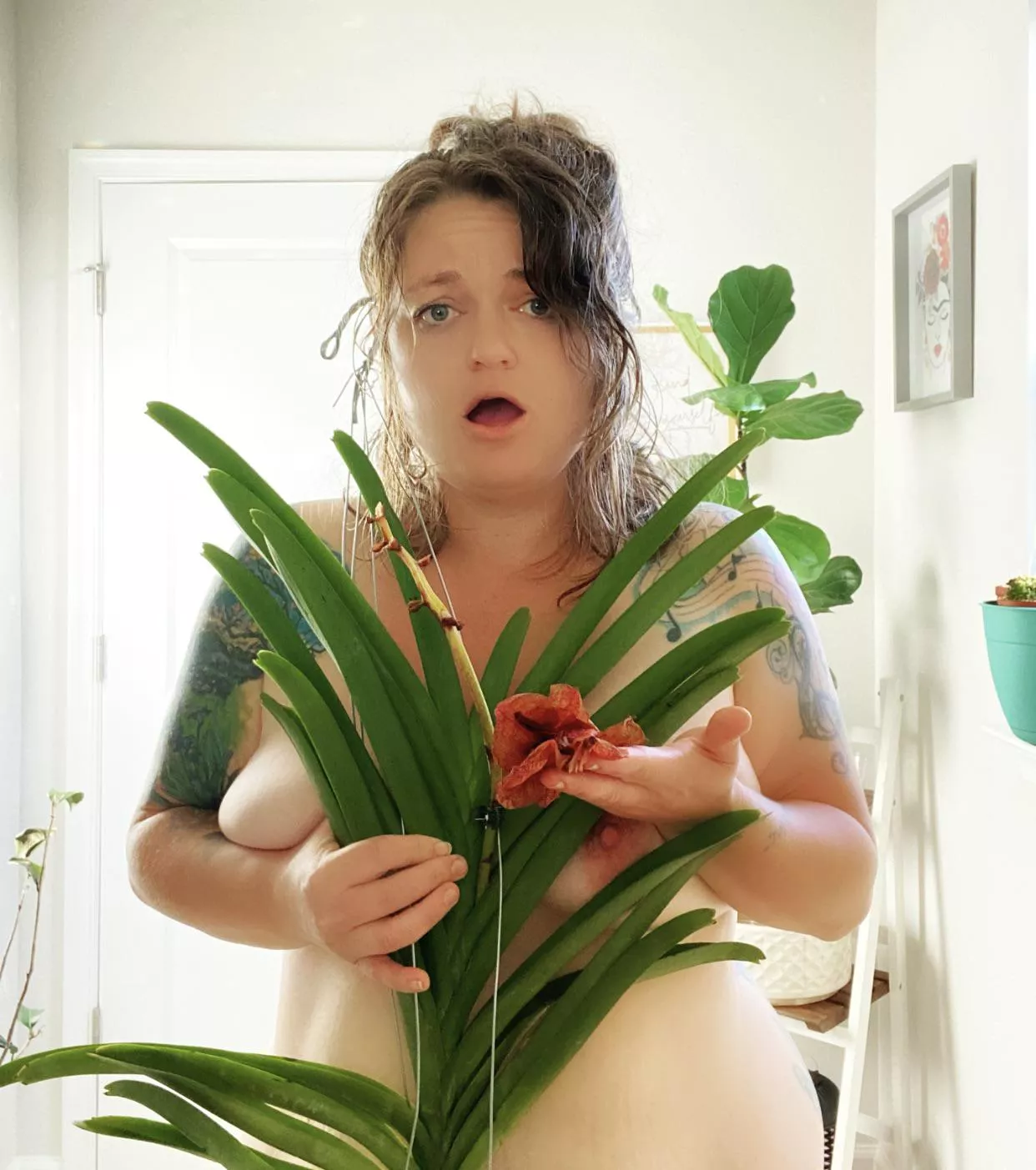 Lost the flowers on my vanda posted by Amelia_jones2087