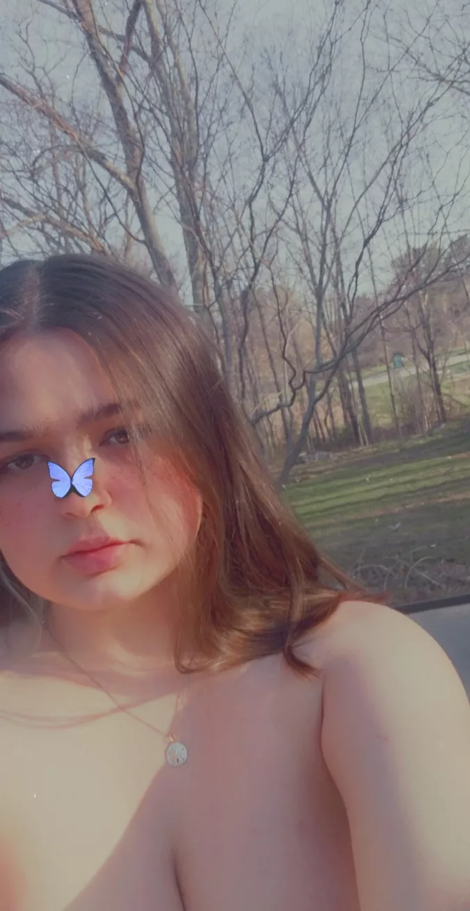 lots of noise from the park through the trees! posted by Starmoe_idb