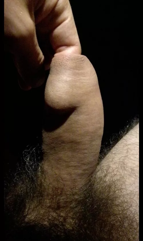 lots of room for a friend. by wesdogger