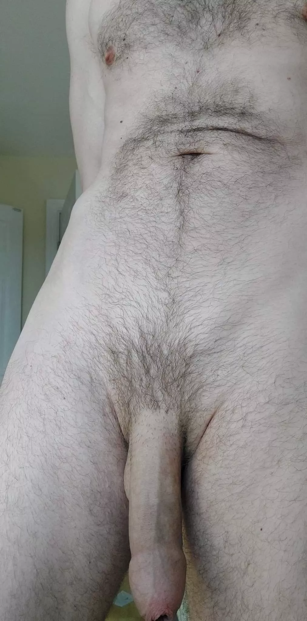 Lots to play with! posted by JonahEss