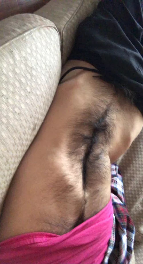 Lounging today (23) by 88butterfly88