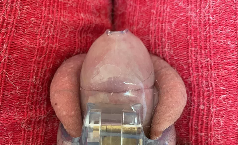 Love being in chastity by zilver2