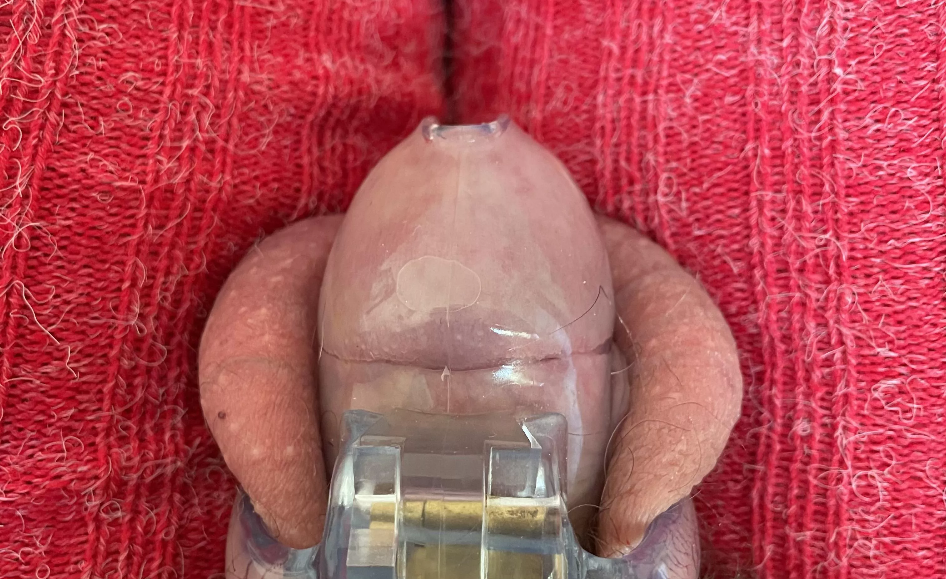 Love being in chastity posted by zilver2