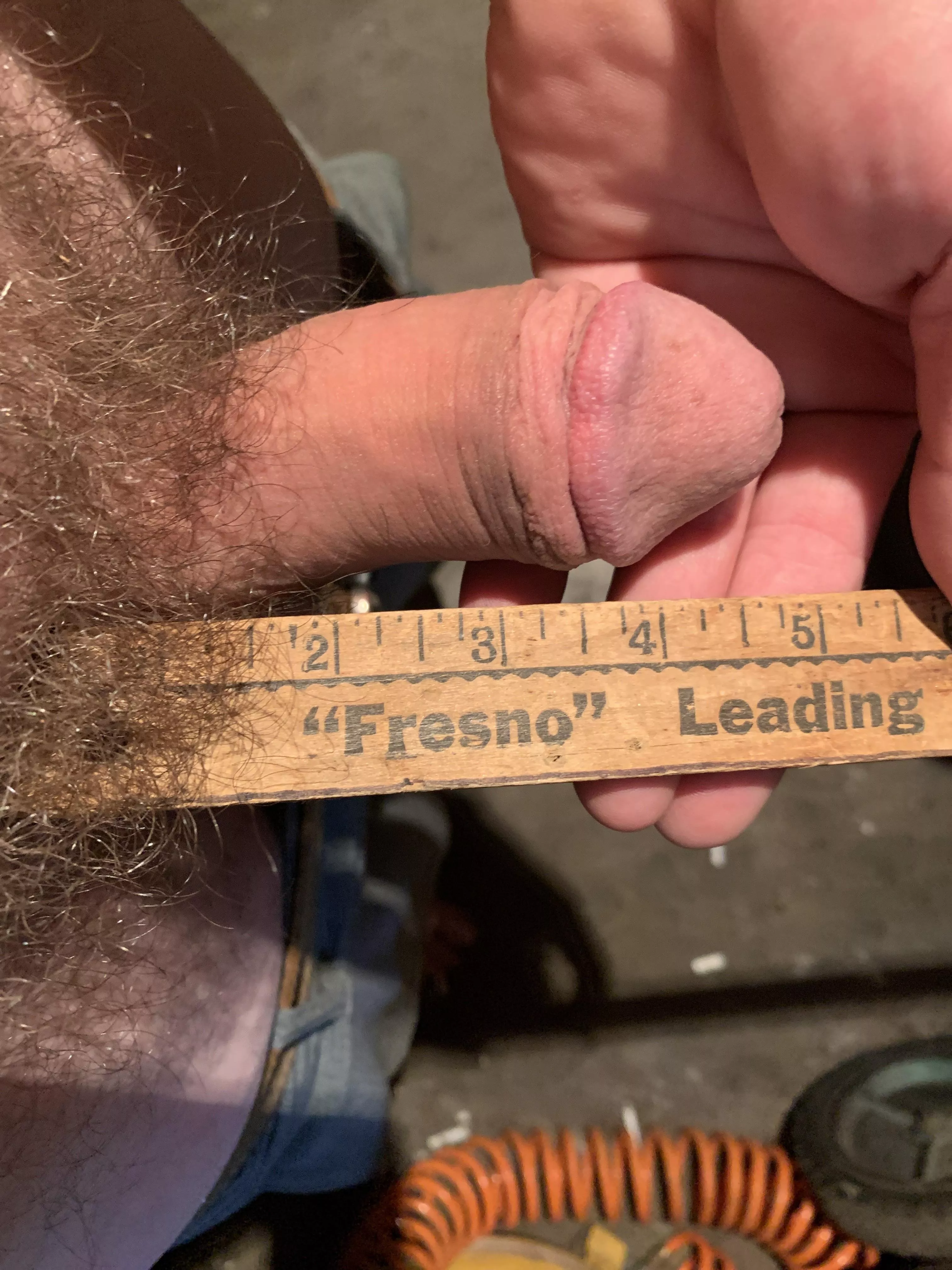 Love it or hate it? posted by Timely_Leather_4634