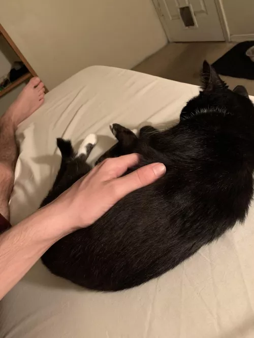 Love sending innocent pics to my straight bros with a foot in there somehow 😏 by Low-Ad-1553