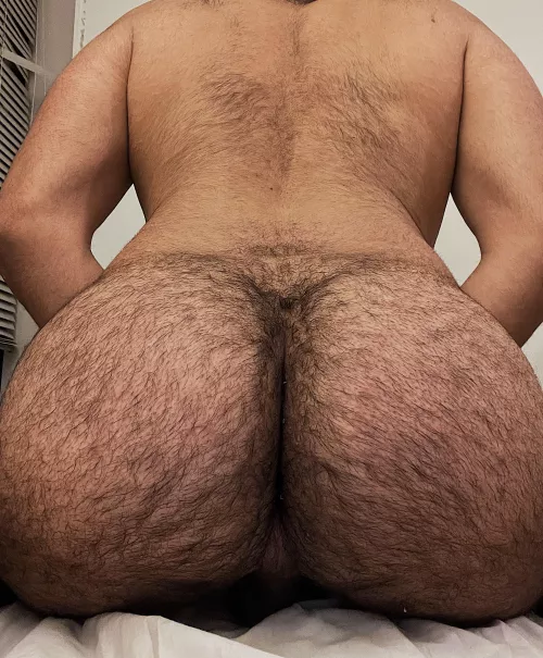 Love showing off my fat hairy pussy. Need a slave? by aubrybraccos