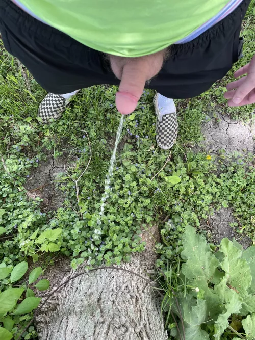 love summertime by spicylem0ns_