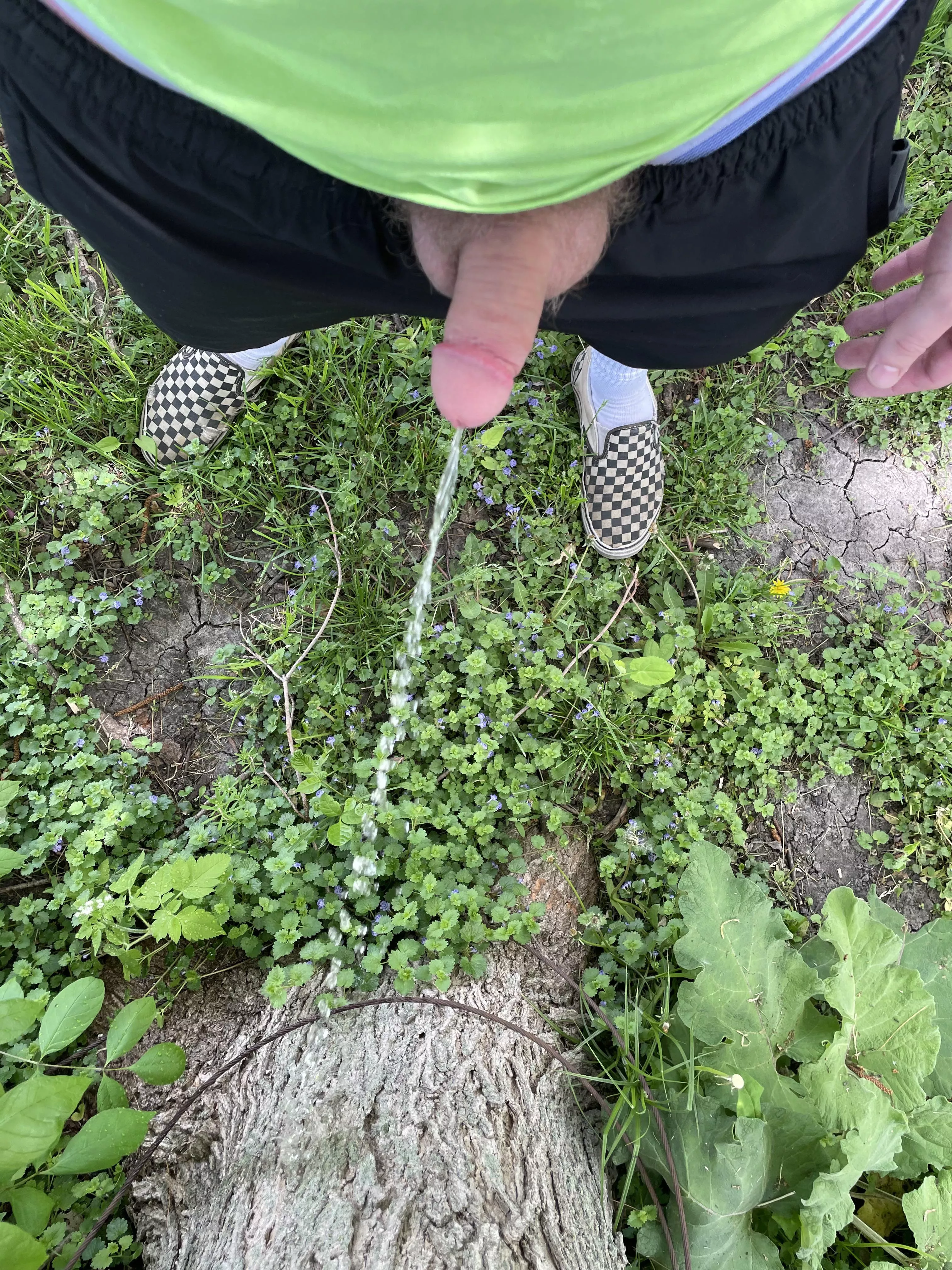 love summertime posted by spicylem0ns_