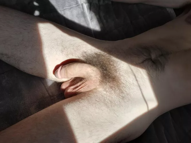 love the afternoon sun in my room 😋 by Double-Win305