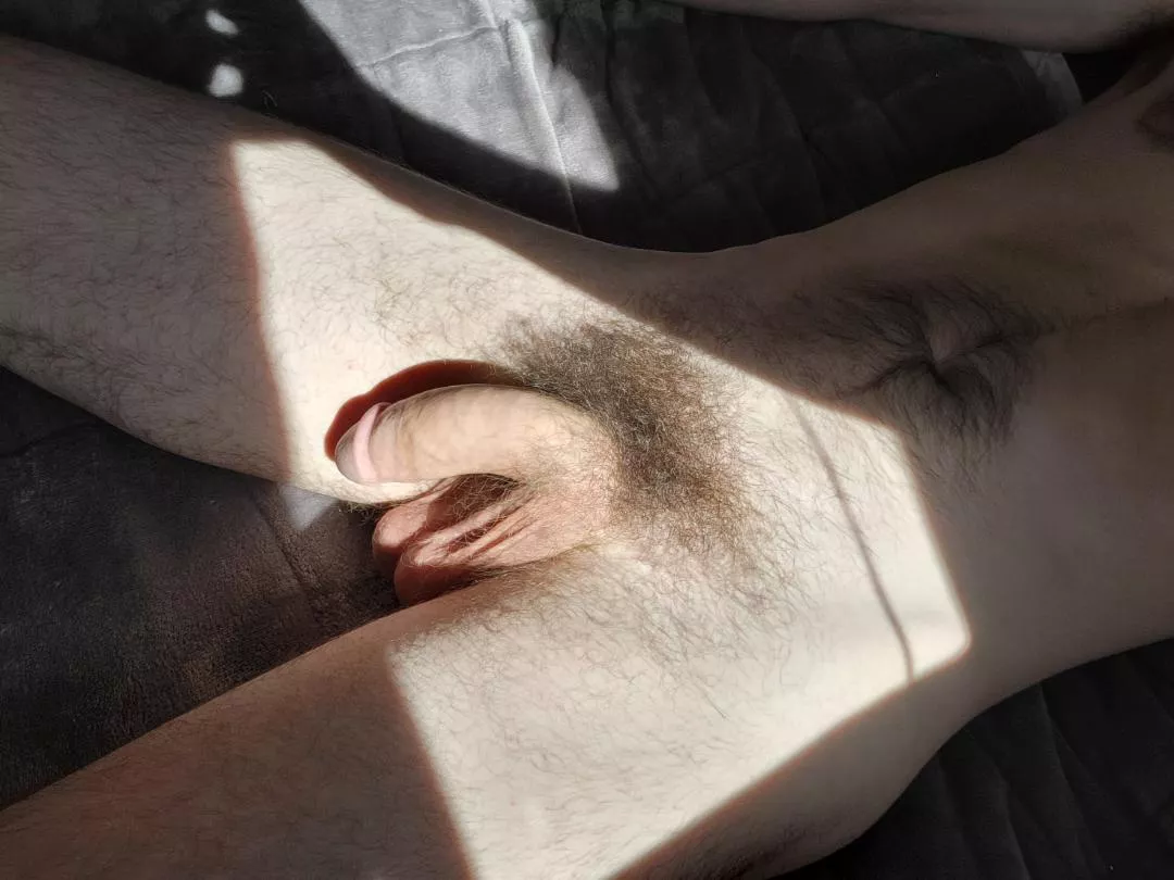 love the afternoon sun in my room 😋 posted by Double-Win305