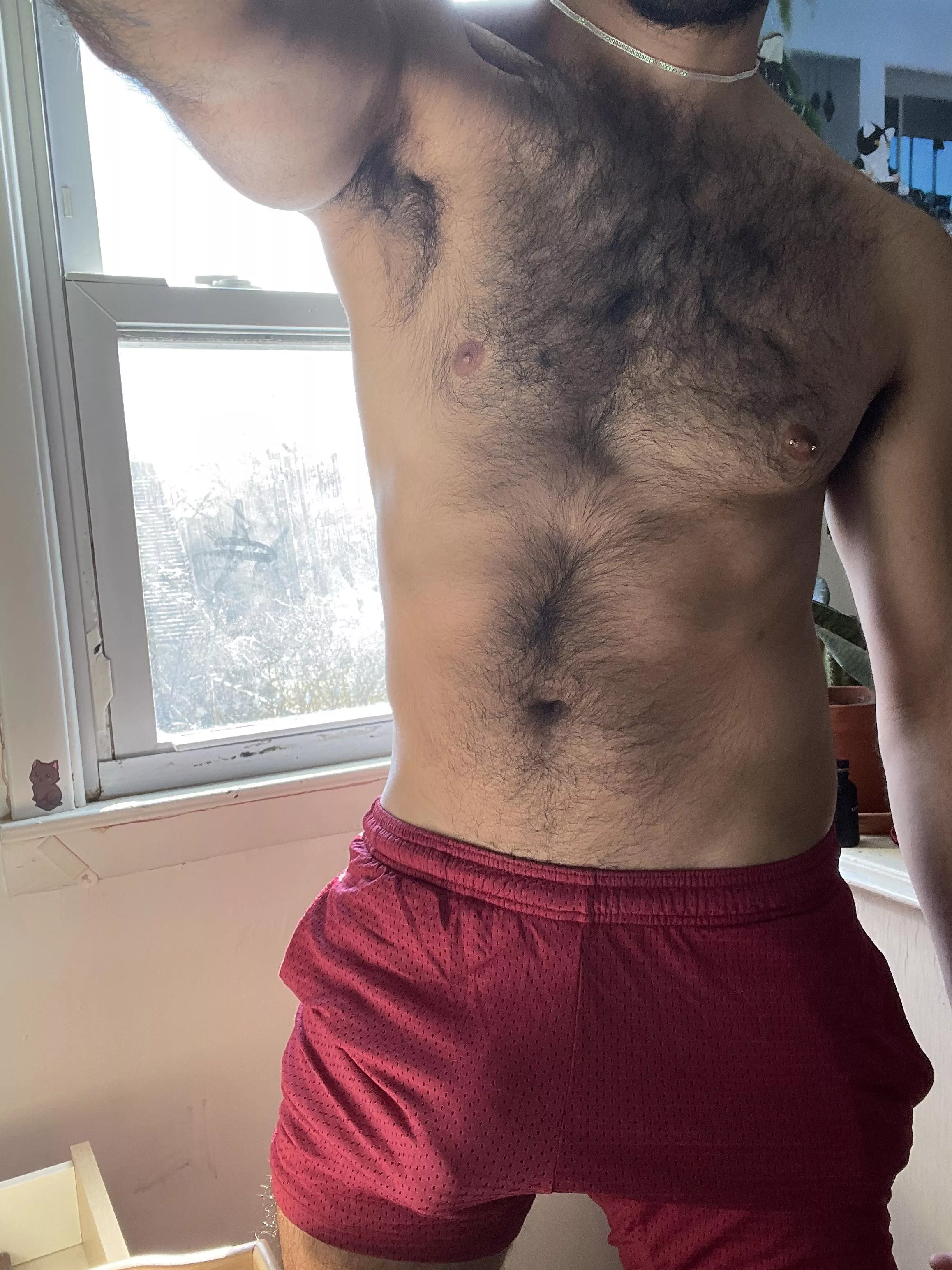 Love these shorts posted by Good_Necessary_1531