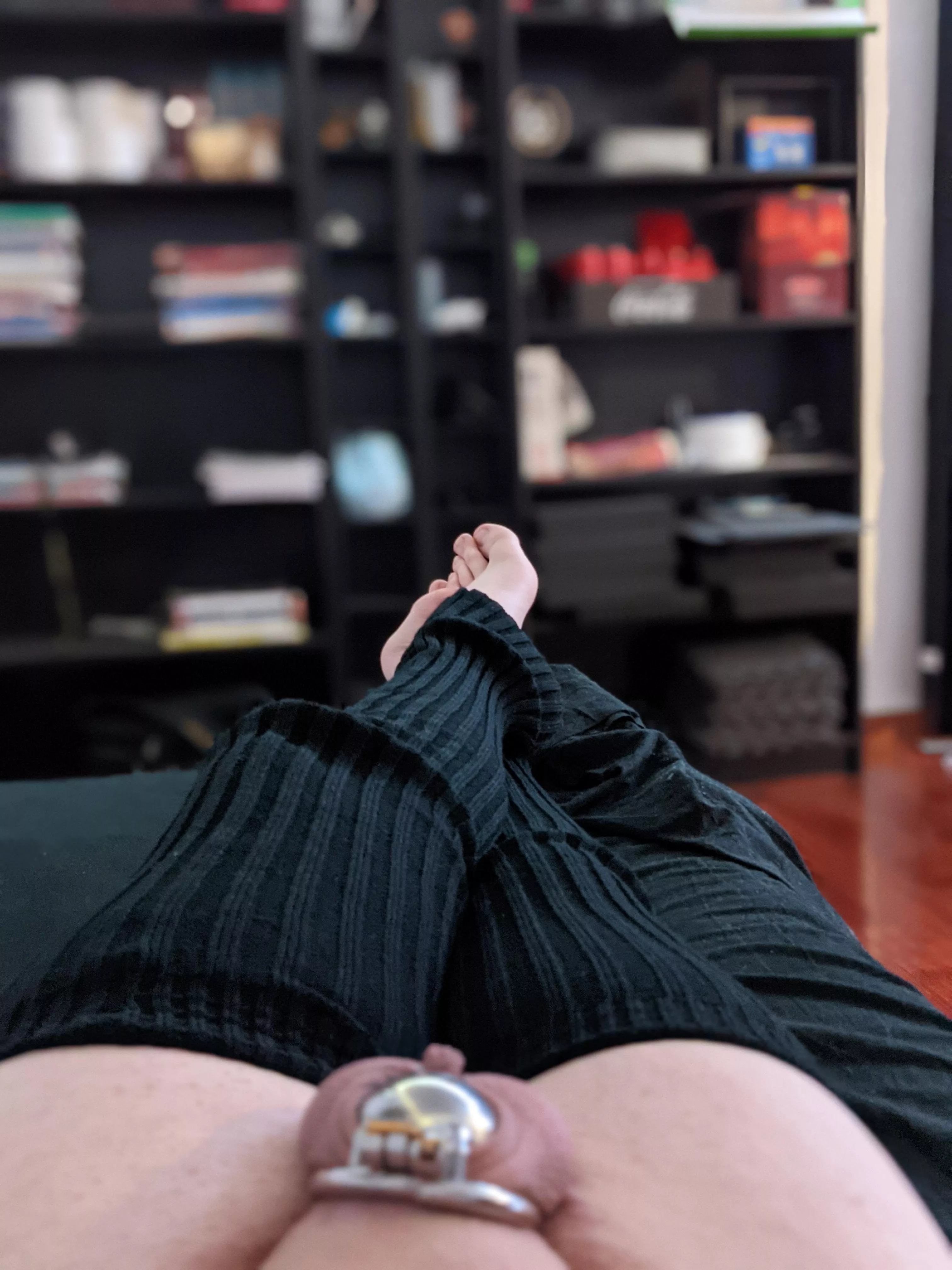 love this cage 😇 posted by Sensitive-Reason-295