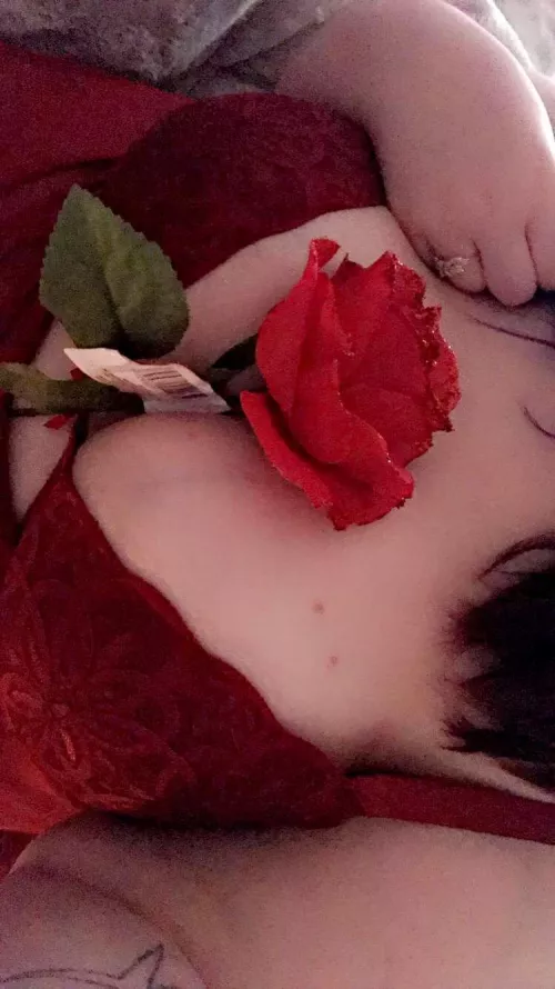 Love this picture by sexyybbw21