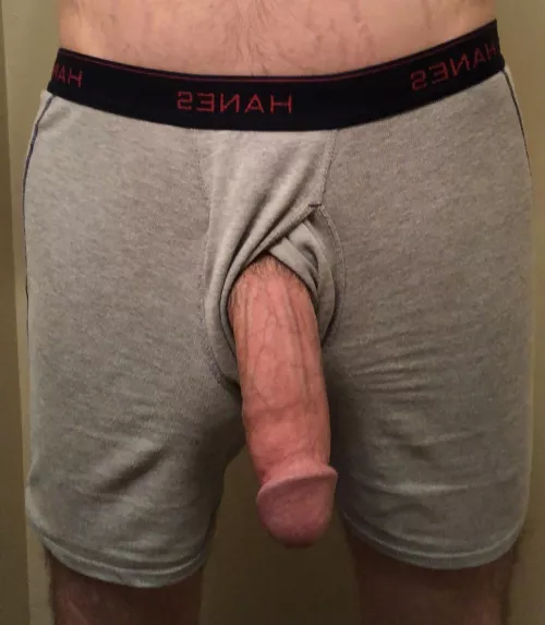 love when it gets worshipped by First-Assistant-9605