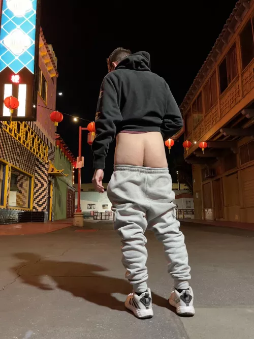 Loved walking around Chinatown with my bare ass out, maybe next time someone will run up behind me and stick it in by Ok-Camel-6313