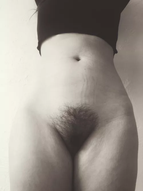 lovely curves by gentlecollapse