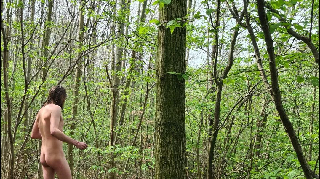 Lovely early morning spring walk. posted by LongLeggedMackDaddy4