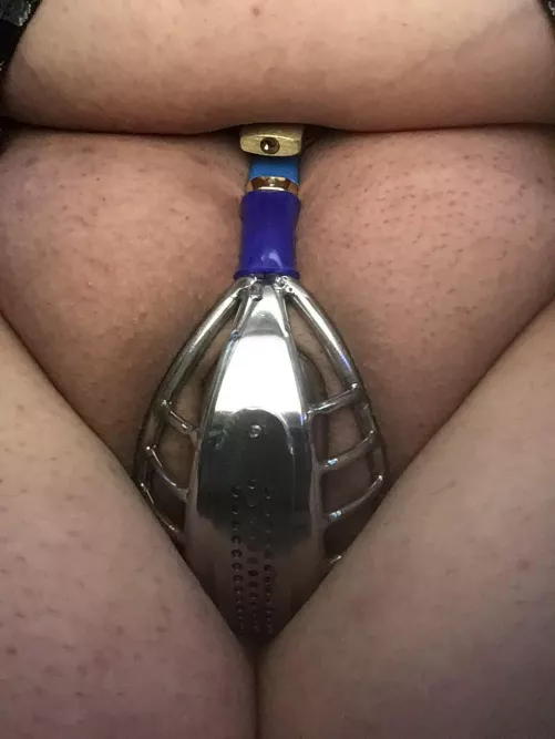 Loving my new cage by plus1always