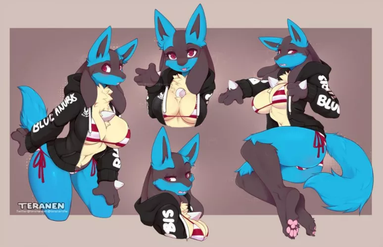 Lucario in a hoodie (Teranen) by PixelCreamBit