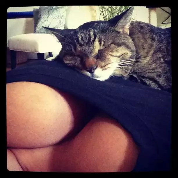 lucky kitty posted by fakesmaster2