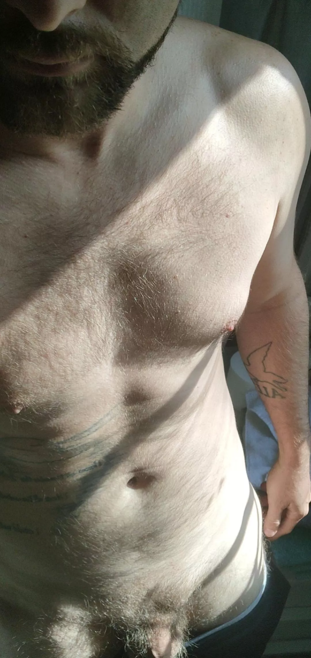 Lurking in the shadows! posted by Zagaca2017