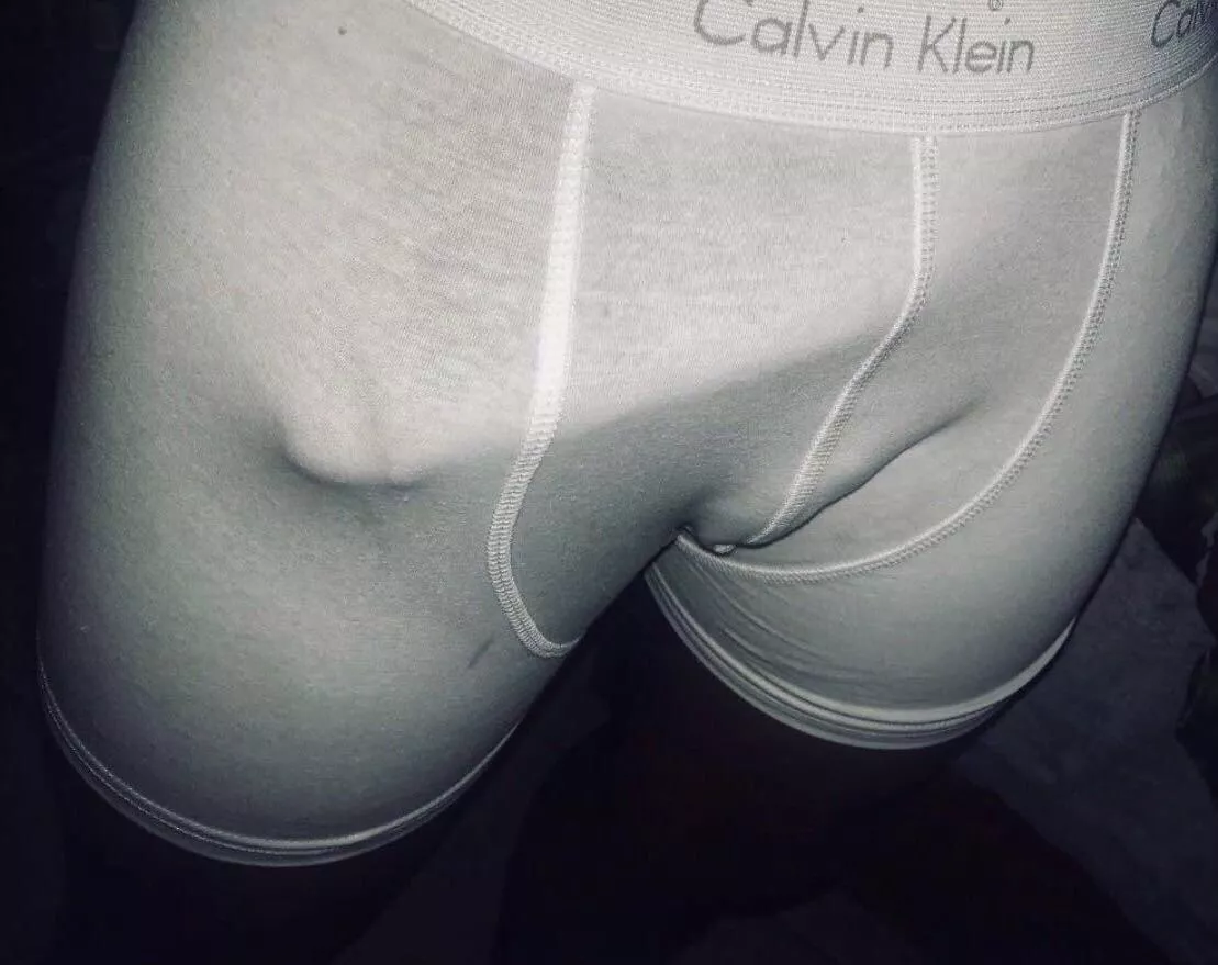 M 25 Bull, read profile before sending messages. posted by hishigh