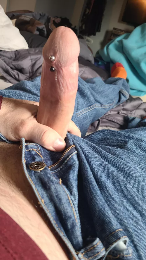 (m) hard pierced cock just for you all 😉 by dungeondaddie